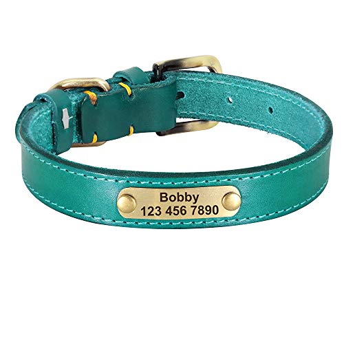 LYVQZPWLRHund mit Werkzeug, Haustier führt Leinen personalisierte Leder Hundehalsband Leder Gold Schnalle Haustier ID Halsband(Blu,X-Large) von LYVQZPWLR