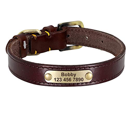 LYVQZPWLRHund mit Werkzeug, Haustier führt Leinen personalisierte Leder Hundehalsband Leder Gold Schnalle Haustier ID Halsband(Dark Brown,XS) von LYVQZPWLR