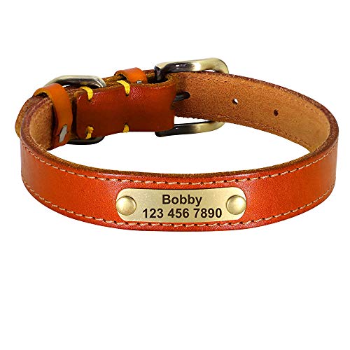 LYVQZPWLRHund mit Werkzeug, Haustier führt Leinen personalisierte Leder Hundehalsband Leder Gold Schnalle Haustier ID Halsband(Light Brown,Large) von LYVQZPWLR