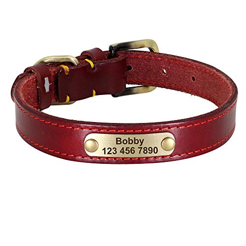 LYVQZPWLRHund mit Werkzeug, Haustier führt Leinen personalisierte Leder Hundehalsband Leder Gold Schnalle Haustier ID Halsband(Rosso,Medium) von LYVQZPWLR