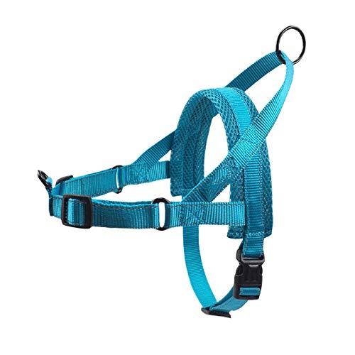 LYVQZPWLRHund mit Werkzeug, Haustierleinen Hundegeschirr Reflektierendes Haustiergeschirr Weste Weiches Mesh Atmungsaktives Hundegeschirr Haustier Brustgurt(Blu,X-Large) von LYVQZPWLR