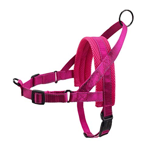 LYVQZPWLRHund mit Werkzeug, Haustierleinen Hundegeschirr Reflektierendes Haustiergeschirr Weste Weiches Mesh Atmungsaktives Hundegeschirr Haustier Brustgurt(Rose red,Small) von LYVQZPWLR