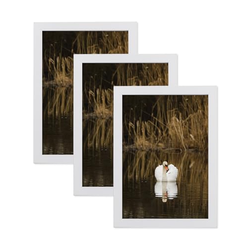 LYYYYYX Holzbilderrahmen 20x25cm Weiss Fotorahmen mit Acrylglas 3er Set Zertifikatsrahmen Freistehend und wandmontierbar von LYYYYX