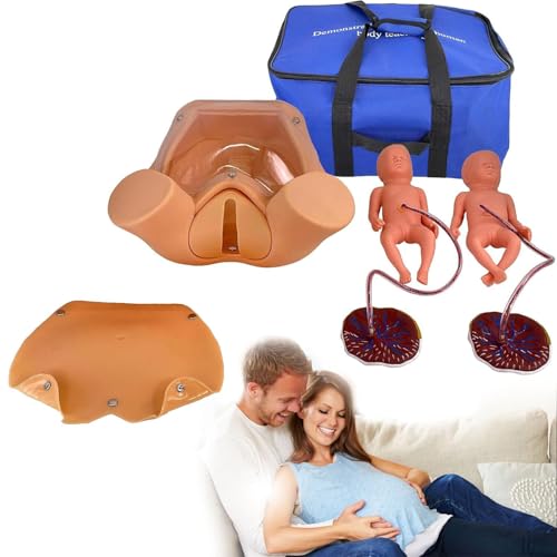 Anatomie-Geburtssimulator, Übungspuppe, Geburtsdemonstration, anatomisches Beckenmodell, Entbindungs- und Entbindungslehre, Form von LZDOYY
