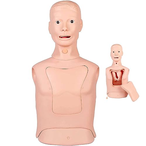 Endotracheale Intubation, Magensonde-Modell, Halbkörper-Schaufensterpuppe für Krankenpflege-Praxis-Simulator, Übungspuppe, Magensonde, nasogastrisches Ernährungstrainingsmodell Endotracheale Intubation, Magensonde-Modell, Halbkörper-Schaufensterpuppe für Krankenpflege-Praxis-Simulator, Übungspuppe, Magensonde, nasogastrisches Ernährungstrainingsmodell von LZDOYY