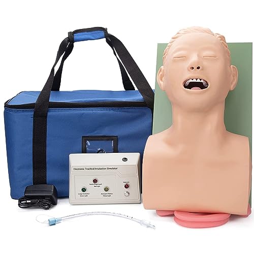 Endotracheale Intubations-Menschenmodell – Tracheal-Intubations-Männchen-Simulator, Schulungshilfen-Kit für das orale und nasale Atemwegsmanagement für naturwissenschaftliche Bildung,220V Endotracheale Intubations-Menschenmodell – Tracheal-Intubations-Männchen-Simulator, Schulungshilfen-Kit für das orale und nasale Atemwegsmanagement für naturwissenschaftliche Bildung,220V von LZDOYY