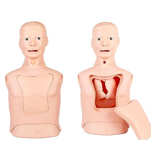 Halbkörper-Pflegemodell, Atemwegsintubation, Halbkörper-Puppe, Lehrmodelle, fortgeschrittenes Nasogastraler Schlauch- und Luftröhrenpflegemodell, Magenspülung, Tracheotomiemodell Halbkörper-Pflegemodell, Atemwegsintubation, Halbkörper-Puppe, Lehrmodelle, fortgeschrittenes Nasogastraler Schlauch- und Luftröhrenpflegemodell, Magenspülung, Tracheotomiemodell von LZDOYY