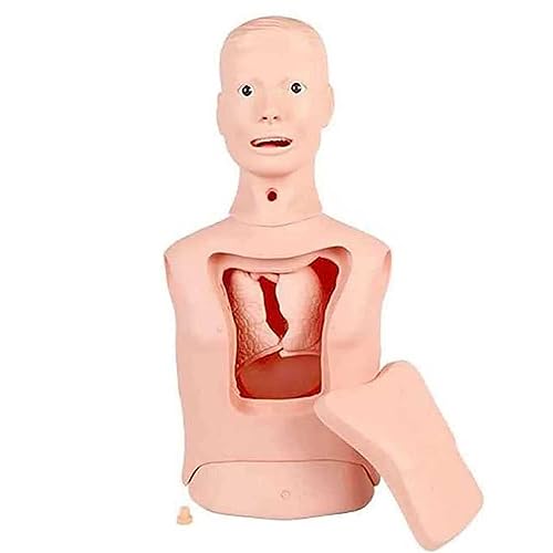 Intubations-Magensonde-Trainingspuppe, fortgeschrittenes Modell für die Magensonde und Luftröhrenpflege, Modell für die Magenspülung und Tracheotomie für den Krankenpflegeunterricht Intubations-Magensonde-Trainingspuppe, fortgeschrittenes Modell für die Magensonde und Luftröhrenpflege, Modell für die Magenspülung und Tracheotomie für den Krankenpflegeunterricht von LZDOYY