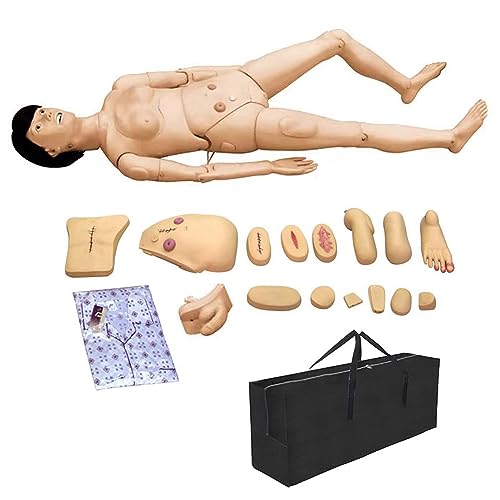 Krankenpflegepuppe, PVC-Pflegetrainingsschaufensterpuppen mit Simulation viszeraler und austauschbarer Wundmodule für die medizinische Ausbildungsfähigkeiten lehren,woman Krankenpflegepuppe, PVC-Pflegetrainingsschaufensterpuppen mit Simulation viszeraler und austauschbarer Wundmodule für die medizinische Ausbildungsfähigkeiten lehren,woman von LZDOYY