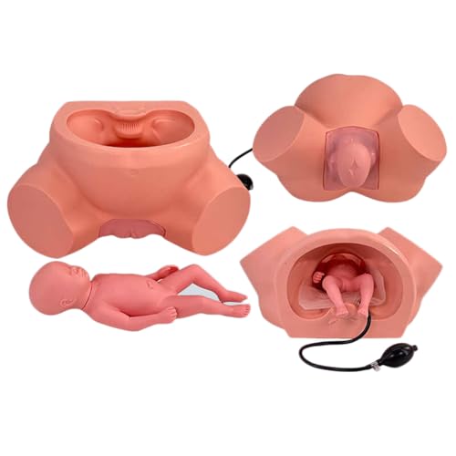 Lehrmodell, Geburtssimulator, Lebensgroße Entbindungs- und Entbindungslehrform mit Babymodell in Standardgröße und wichtigen anatomischen Orientierungspunkten Lehrmodell, Geburtssimulator, Lebensgroße Entbindungs- und Entbindungslehrform mit Babymodell in Standardgröße und wichtigen anatomischen Orientierungspunkten von LZDOYY