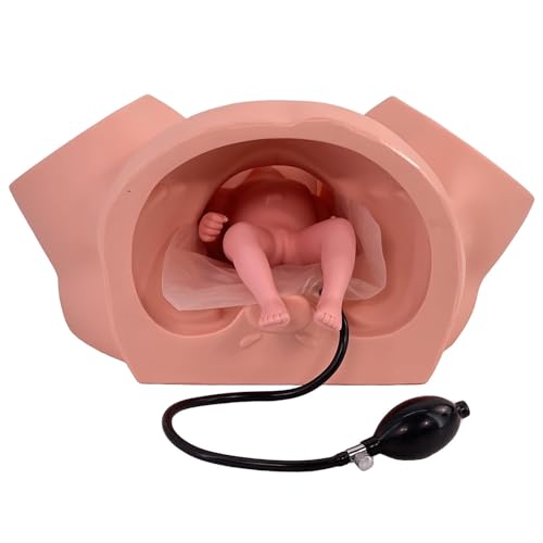 Lehrmodell, Geburtssimulator, lebensgroßes PVC-Geburtsdemonstrationsmodell mit Fötusmodell + einstellbarer Beckenbreite + handgezeichneter Beckenumriss demonstriert verschiedene Szenarien Lehrmodell, Geburtssimulator, lebensgroßes PVC-Geburtsdemonstrationsmodell mit Fötusmodell + einstellbarer Beckenbreite + handgezeichneter Beckenumriss demonstriert verschiedene Szenarien von LZDOYY