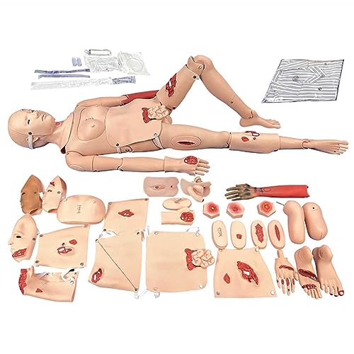 Multifunktionale Trauma-Pflegepuppe, lebensgroße Simulator-Dummies, simulieren Verbrennungen, Schnittwunden, Prellungen und offene Frakturen, für die medizinische Krankenpflegeausbildung Multifunktionale Trauma-Pflegepuppe, lebensgroße Simulator-Dummies, simulieren Verbrennungen, Schnittwunden, Prellungen und offene Frakturen, für die medizinische Krankenpflegeausbildung von LZDOYY