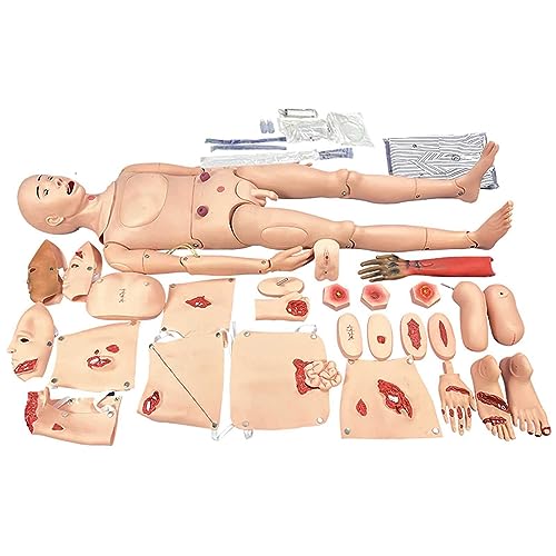 Pflegekompetenz-Trainingspuppe, lebensgroße Ganzkörper-Mannequin für männliche Pflege, menschliches Modell, Multifunktions-Demonstrationspuppe Pflegekompetenz-Trainingspuppe, lebensgroße Ganzkörper-Mannequin für männliche Pflege, menschliches Modell, Multifunktions-Demonstrationspuppe von LZDOYY