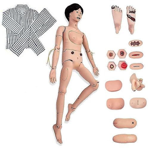 Pflegepuppe, hohe Simulation, lebensgroß, verschiedene Pflegearten, männliche/weibliche PVC-Pflegetrainingspuppe mit IV-Übungsset, für das Üben professioneller Pflegefähigkeiten,woman Pflegepuppe, hohe Simulation, lebensgroß, verschiedene Pflegearten, männliche/weibliche PVC-Pflegetrainingspuppe mit IV-Übungsset, für das Üben professioneller Pflegefähigkeiten,woman von LZDOYY