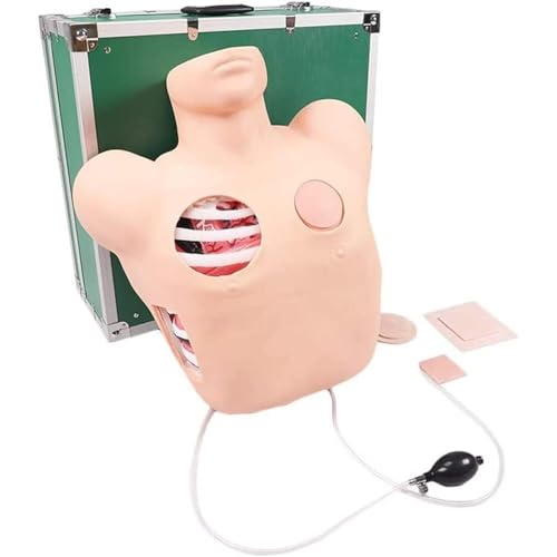 Thorakozentese-Trainingspuppe, simulierte menschliche Puppe, Pneumothorax-Drainage-Modell nach Thoraxtrauma, geschlossenes Thorax-Drainage-Modell, Krankenhaus-Training von LZDOYY