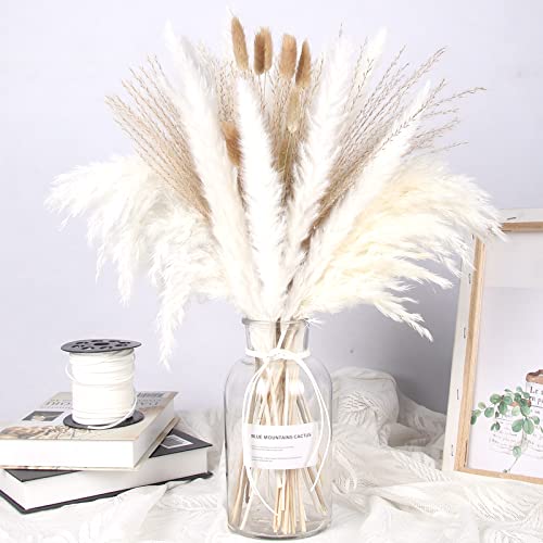 Pampasgras Getrocknet 67pcs Natürliche Trockenblumen Deko DIY Trockene Blüten Strauß,Pampasgras-Bouquet Schilfblume Deko Ideal for Boho Wohnzimmer-Schlafzimmer-und Vasen (LZGSGO-0102) von LZGS Go Swing Bands