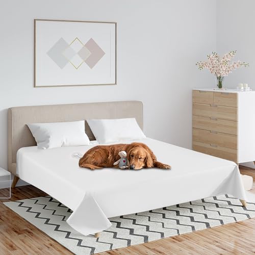 LZLUCKCOME wasserdichte Hundedecke, wasserdichte Schutzdecke oder Liner, wasserdichte Wendbare Schutzdecke oder Liner für Bett oder Couch, für Haustiere (200 x 230 cm （Weiß）) von LZLUCKCOME