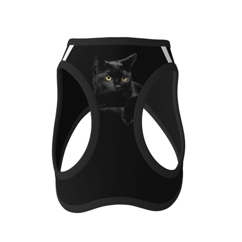 Leichtes Hundegeschirr für kleine Hunde, starrende schwarze Katze von LZNJZ