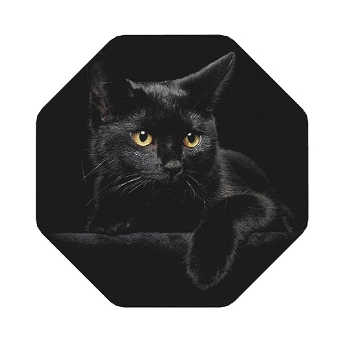Leichte Coasters Set of 6, Staring Black Cat Coasters for Home, Restaurant, Office von LZNJZ