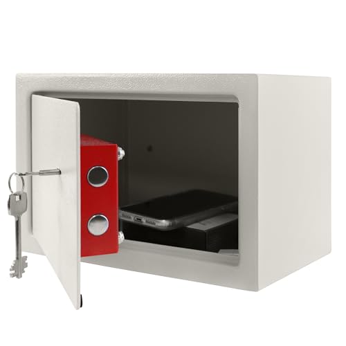 LZQ Tresor Möbeltresor mit Doppelbartschloss, Tresor Safe mit Schlüssel-Schloss, Wandtresor Wandsafe, Geldschrank Boden ink. 2 x Schlüssel, 31 x 20 x 20 cm (Silber) LZQ Tresor Möbeltresor mit Doppelbartschloss, Tresor Safe mit Schlüssel-Schloss, Wandtresor Wandsafe, Geldschrank Boden ink. 2 x Schlüssel, 31 x 20 x 20 cm (Silber) von LZQ