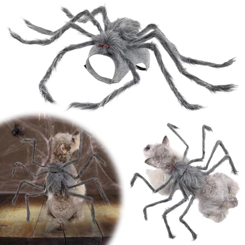 Halloween-Kostüm für Haustiere, Spinne für Katzen und Hunde, bequemes und verstellbares Halloween-Kostüm für kleine und mittelgroße Haustiere, lustiges und auffälliges Design für Urlaubspartys (Lila Halloween-Kostüm für Haustiere, Spinne für Katzen und Hunde, bequemes und verstellbares Halloween-Kostüm für kleine und mittelgroße Haustiere, lustiges und auffälliges Design für Urlaubspartys (Lila von LZYWOD