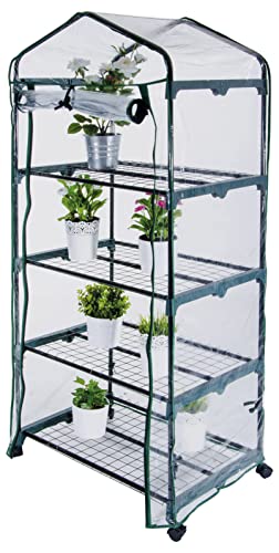 La Briantina Gewächshaus mit 4 Etagen, mobiles Gewächshaus mit Rollen für Terrassen und Balkone, Gestell aus Metall und Plane aus transparentem PVC, 69 x 49 cm, Höhe 160 cm La Briantina Gewächshaus mit 4 Etagen, mobiles Gewächshaus mit Rollen für Terrassen und Balkone, Gestell aus Metall und Plane aus transparentem PVC, 69 x 49 cm, Höhe 160 cm von La Briantina