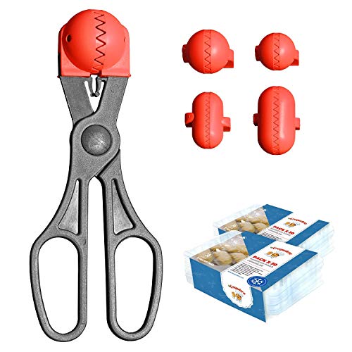 La Croquetera - Set aus roten Mehrzweckutensilien, 4 austauschbare Ausstechformen für Teig + Set mit 40 Förmchen zur Aufbewahrung, 100 % spanisch: patentiert La Croquetera - Set aus roten Mehrzweckutensilien, 4 austauschbare Ausstechformen für Teig + Set mit 40 Förmchen zur Aufbewahrung, 100 % spanisch: patentiert von La Croquetera
