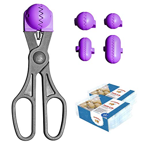 La CroqueteraDie croquetera Pack- Spätzle Mehrzweck violett – 4 austauschbare Ausstechformen für Teig + Pack 40 Fächer Erhaltung – 100% Spanisch: patentiert von La Croquetera