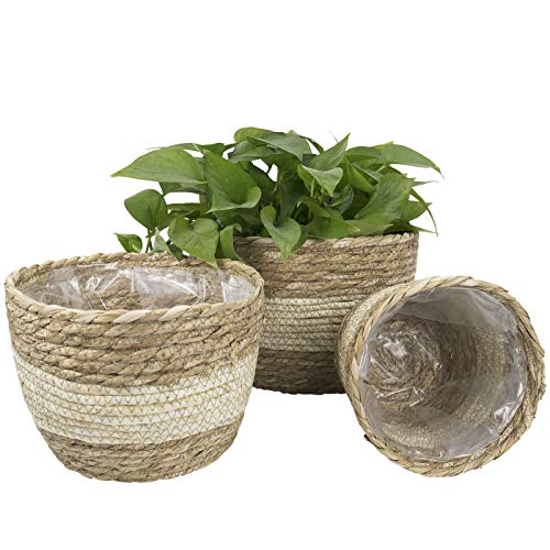 La Jolíe Muse Seegras Pflanzgefäß Korb Indoor, Blumentöpfe Abdeckung, Pflanze Container, Natural Beige (3-Pack) 26+22+16cm von La Jolíe Muse