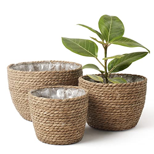 La Jolíe Muse Seegras Pflanzgefäß Korb Indoor, Blumentöpfe Abdeckung, Pflanze Container, Natural (3-Pack) 26+22+16cm von La Jolíe Muse