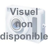 4 Whiskybecher Biene - La Rochère von La Rochere