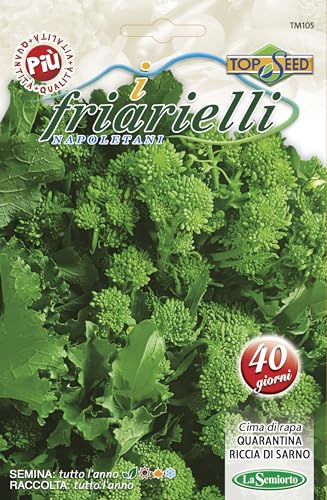 I FRIARIELLI NEAPOLETANI - RAPA QUARANTINA CIMA RECCIA DI SARNO - Das Beste aus Samen für die besten Produzenten - Gentechnikfrei - Samen von sehr hoher Keimfähigkeit (15 Gramm) von La Semiorto Sementi