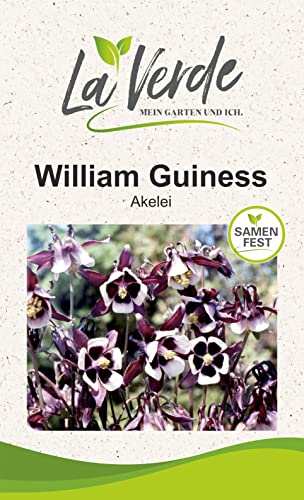 Akelei William Guiness Blumensamen von La Verde MEIN GARTEN UND ICH.