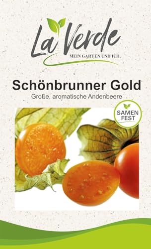 Andenbeere Schönbrunner Gold von La Verde MEIN GARTEN UND ICH.