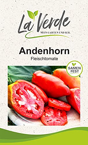 Andenhorn Tomatensamen von La Verde MEIN GARTEN UND ICH.