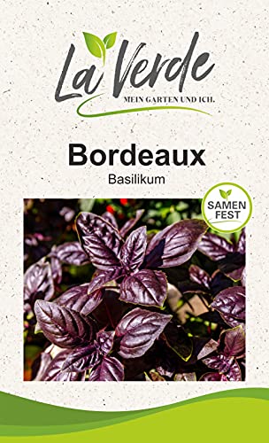 Basilikum Bordeaux Fulvio Kräutersamen von La Verde MEIN GARTEN UND ICH.