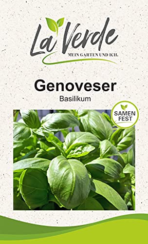 Basilikum Genoveser Kräutersamen von La Verde MEIN GARTEN UND ICH.