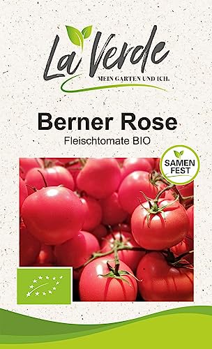 Berner Rose BIO Tomatensamen von La Verde MEIN GARTEN UND ICH.