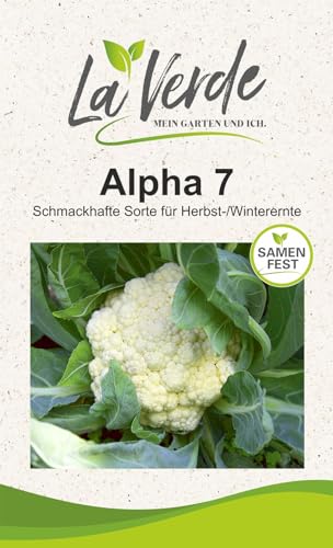 Blumenkohl Alpha 7 Kohlsamen von La Verde MEIN GARTEN UND ICH.