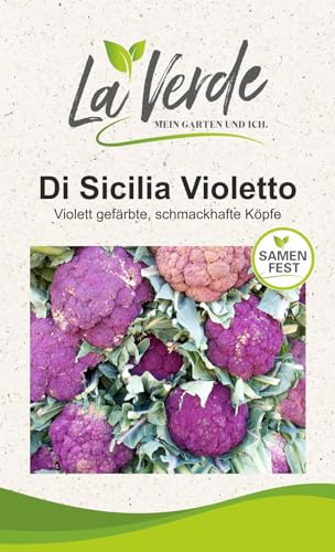 Blumenkohl Di Sicilia Violetto Kohlsamen von La Verde MEIN GARTEN UND ICH.