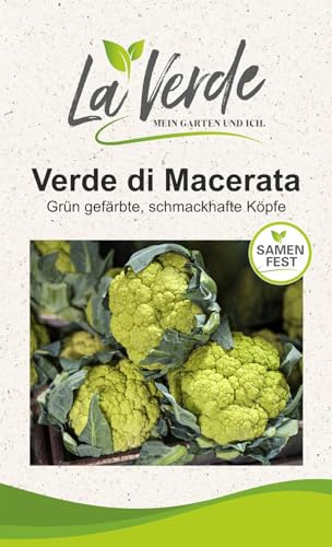 Blumenkohl Verde di Macerata Kohlsamen von La Verde MEIN GARTEN UND ICH.