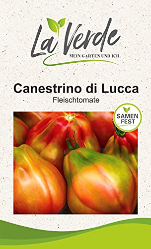 Canestrino Tomatensamen von La Verde MEIN GARTEN UND ICH.