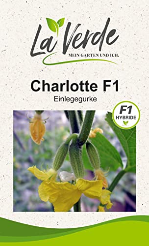 Charlotte F1 Gurkensamen von La Verde MEIN GARTEN UND ICH.