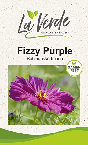 Cosmee Fizzy Purple Blumensamen von La Verde MEIN GARTEN UND ICH.