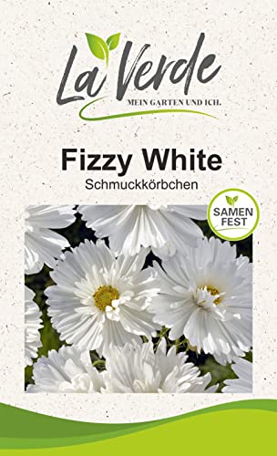 Cosmee Fizzy White Blumensamen von La Verde MEIN GARTEN UND ICH.