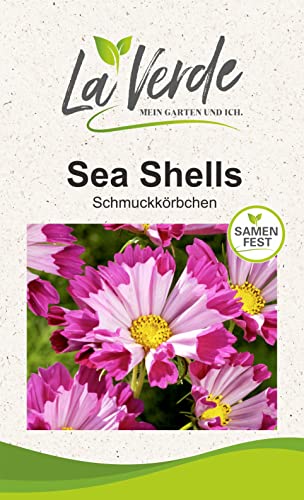 Cosmee Sea Shells Blumensamen Cosmee Sea Shells Blumensamen von La Verde MEIN GARTEN UND ICH.