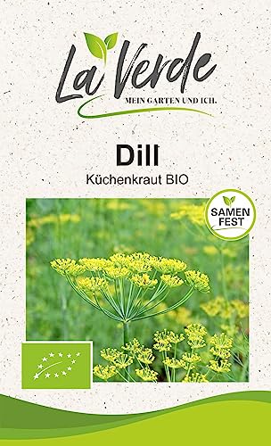 Dill BIO Kräutersamen von La Verde MEIN GARTEN UND ICH.