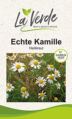 Echte Kamille Kräutersamen von La Verde MEIN GARTEN UND ICH.