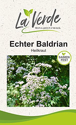 Echter Baldrian Lubelski Kräutersamen von La Verde MEIN GARTEN UND ICH.