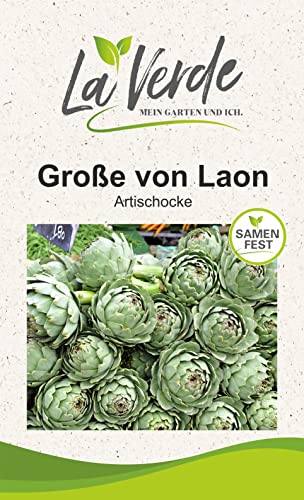 Große von Laon Artischockensamen von La Verde MEIN GARTEN UND ICH.